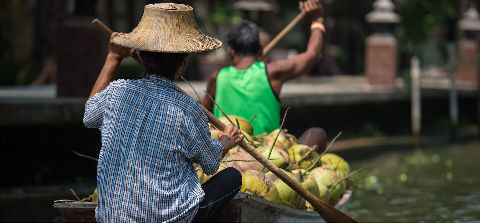 Falken Groups coconut plantation