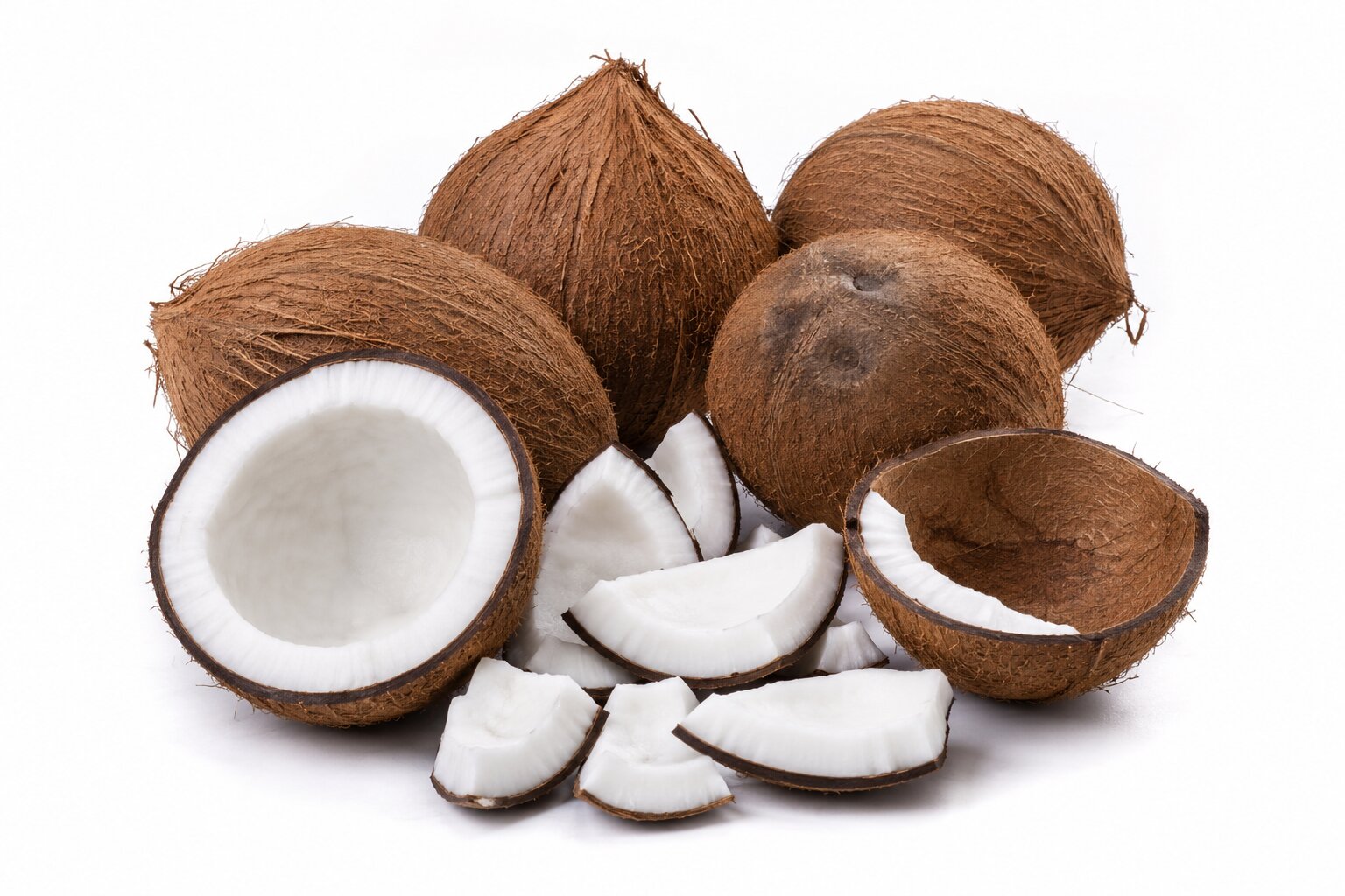 Dry Coconut supplied by Falken Groups