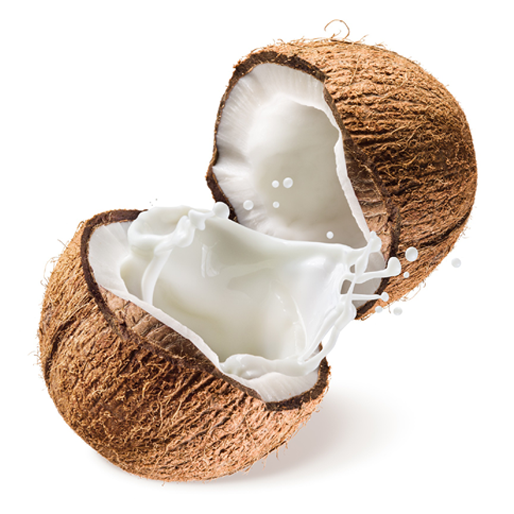 Dry Coconut supplied by Falken Groups
