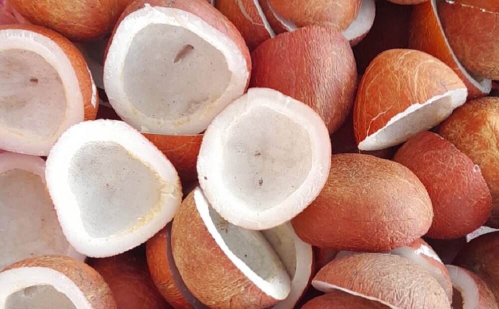 Edible Copra supplied by Falken Groups